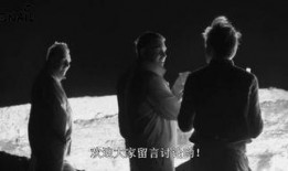 苍狼全集在线观看,热血传奇，苍狼之魂，在线观看之旅